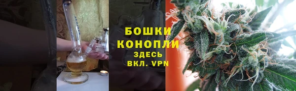 прущие грибы Абдулино