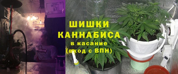 прущие грибы Абдулино