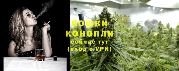 прущие грибы Абдулино