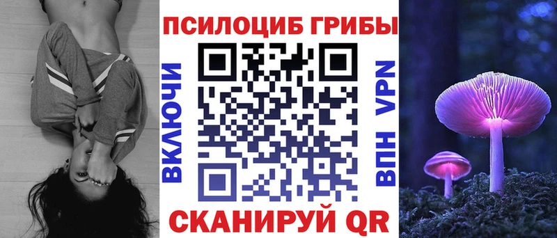 купить   omg ссылки  Псилоцибиновые грибы MAGIC MUSHROOMS  Орёл 